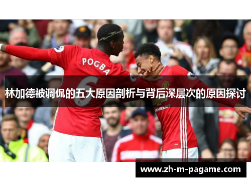 林加德被调侃的五大原因剖析与背后深层次的原因探讨 林加德被调侃的五大原因剖析与背后深层次的原因探讨