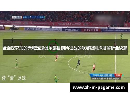 全面探究加的夫城足球俱乐部目前所征战的联赛级别深度解析全貌篇 全面探究加的夫城足球俱乐部目前所征战的联赛级别深度解析全貌篇