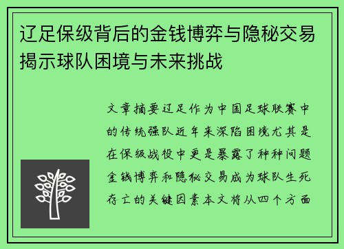 辽足保级背后的金钱博弈与隐秘交易揭示球队困境与未来挑战